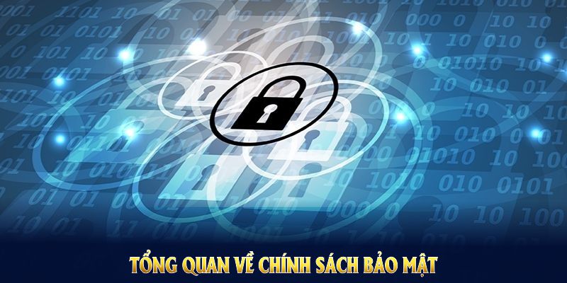 Tổng quan về chính sách bảo mật tại sảnh nhà cái 98Win